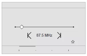 DS Connect Radio