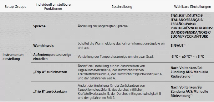 Fahrer-Informationsdisplay