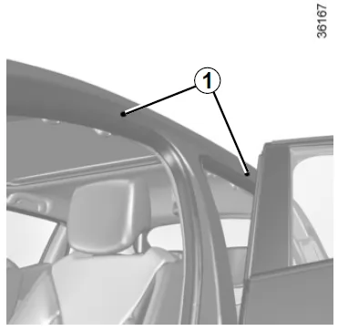 Renault Clio. Dachgalerie