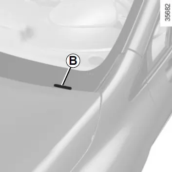 Renault Clio. Fahrzeugtypenschilder